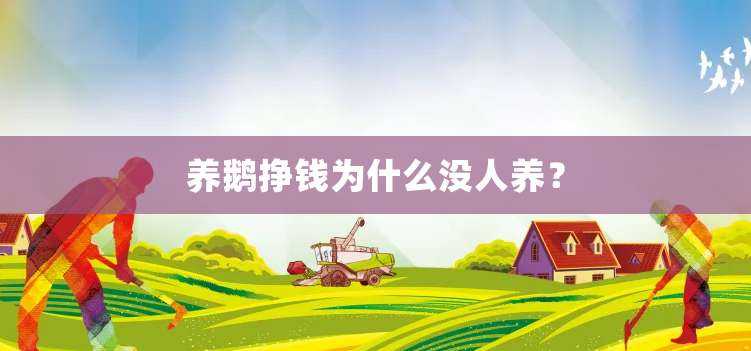 养鹅挣钱为什么没人养？