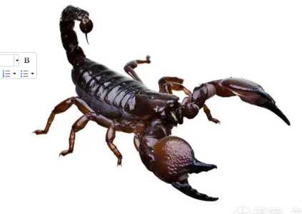 养殖蝎子风险大吗？