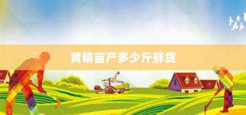 黄精亩产多少斤鲜货