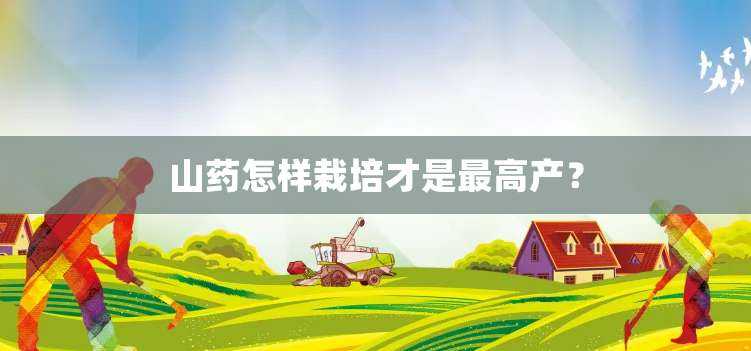 山药怎样栽培才是最高产？