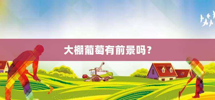 大棚葡萄有前景吗？