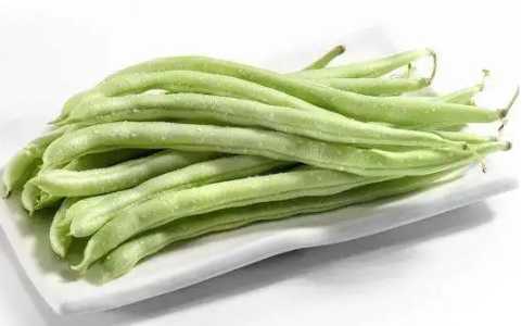 芸豆什么时候种植最好？
