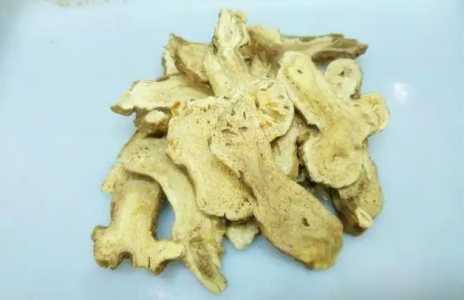 白术什么时候种最合适？