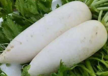 冬季常吃的蔬菜有哪些？为什么？
