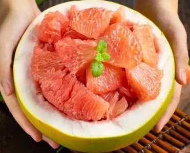 柚子种植条件有什么？