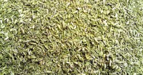 茴香一亩地用多少种子？