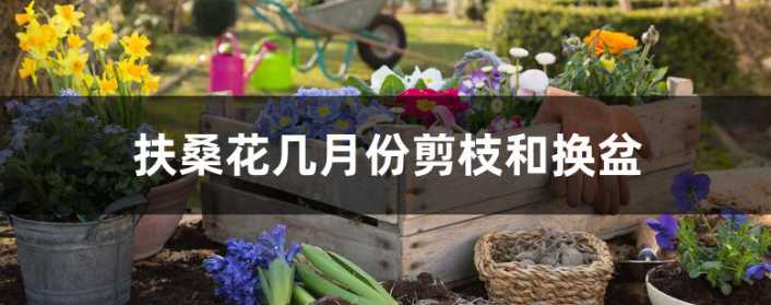 微信截图_20221130204653.png