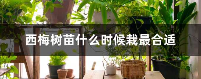 微信截图_20221203183435.png
