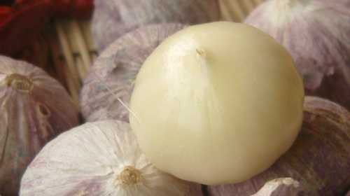 几月份种大蒜出独头蒜?？