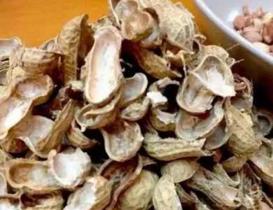 花生壳泡水发酵多久成功？