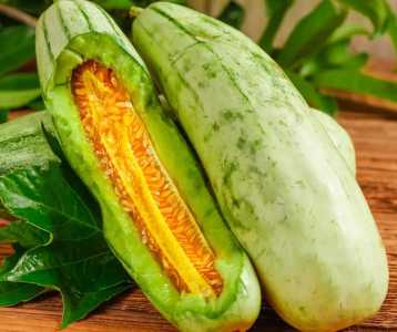 羊角蜜瓜适合什么地方种植？