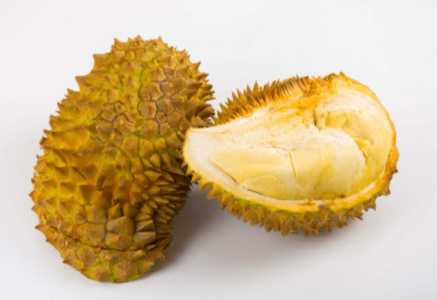 榴莲盆栽种植方法与技巧有什么？