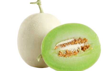 玉菇甜瓜几月份种植合适？