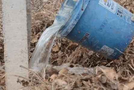 什么时候浇封冻水最好？