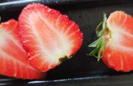 草莓种子没有泡水能发芽吗？