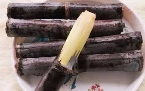 紫皮甘蔗种子怎么种植？