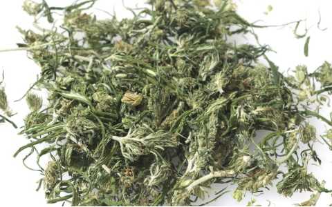 绞股蓝的药用价值是什么？