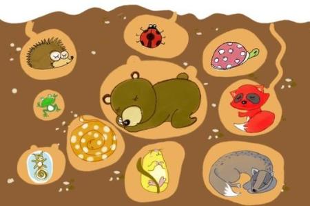 那些动物冬眠，冬眠在哪里？