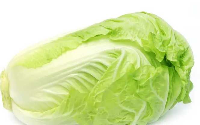 大白菜.png