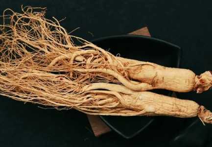 小花盆可以种人参吗？