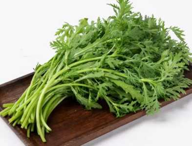 同高菜怎么种？