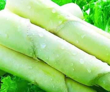 胶笋怎么种?
