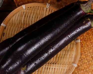 东北茄子怎么种？