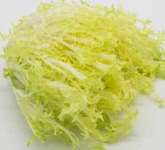 怎么种生菜芽?