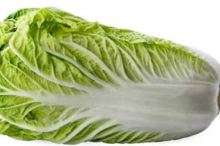抗热白菜怎么种