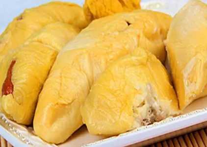 榴莲肉怎么种?