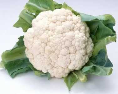 怎么种好菜花?