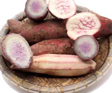 花心薯怎么种？