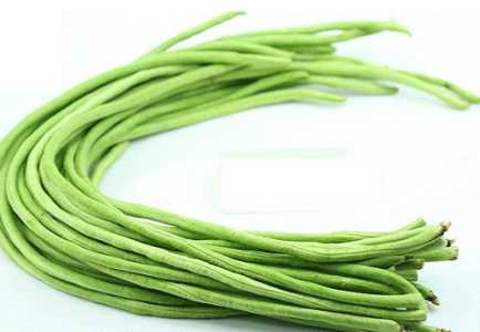 香蕉豆怎么种？
