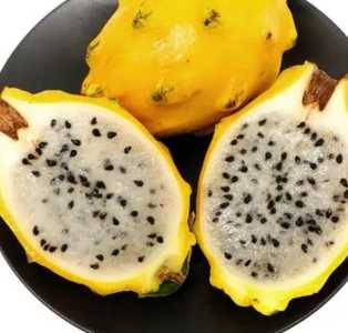 燕窝果怎么种?