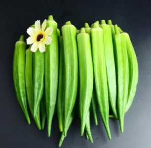 怎么种角菜？