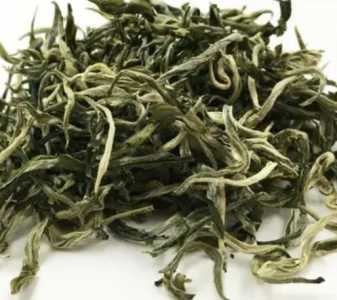 云南茶叶怎么种？