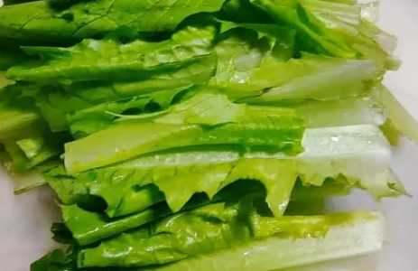油麦菜根怎么种？