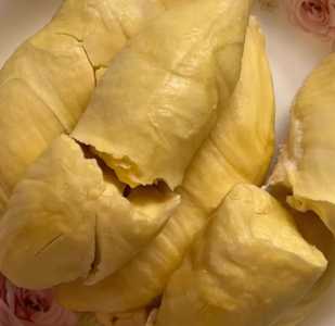 新西兰怎么种榴莲？