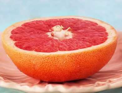 柚子种苗怎么种？