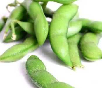怎么种毛豆角？
