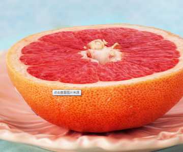 随州柚子怎么种？