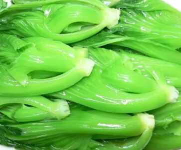芥菜怎么种才好？