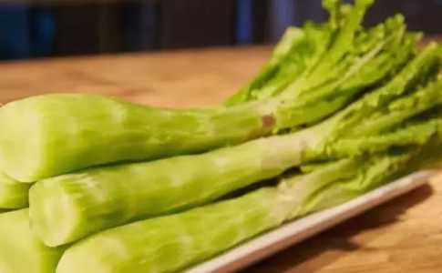 莴苣秧子怎么种？