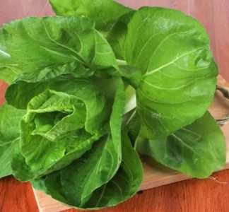 夏青菜怎么种？