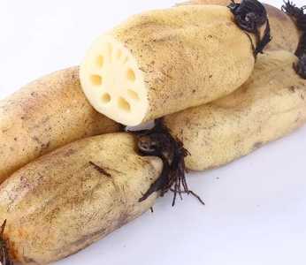 深水藕怎么种？