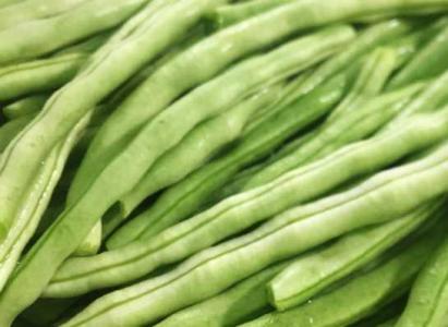 豆角是什么季节开花?