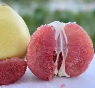 红心蜜柚什么季节开花？