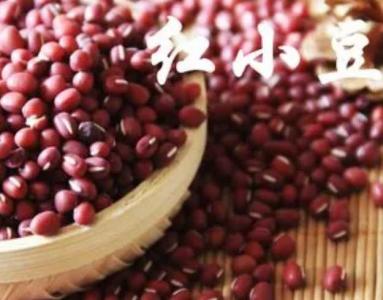红小豆什么季节开花？