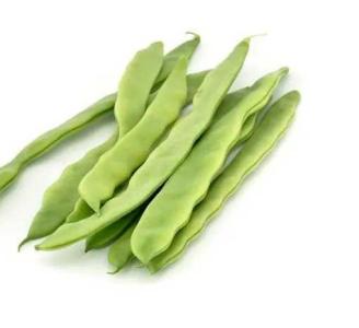 芸豆花什么季节开花？