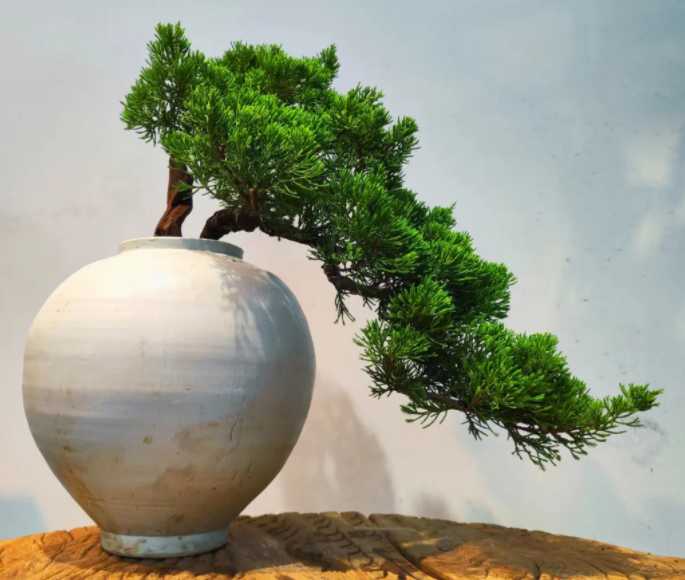 QQ截图20230826125553.png